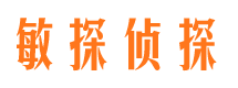 海丰寻人公司